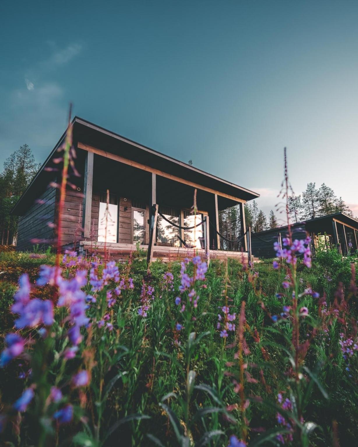 Arctic Treehouse Hotel Рованиеми Екстериор снимка